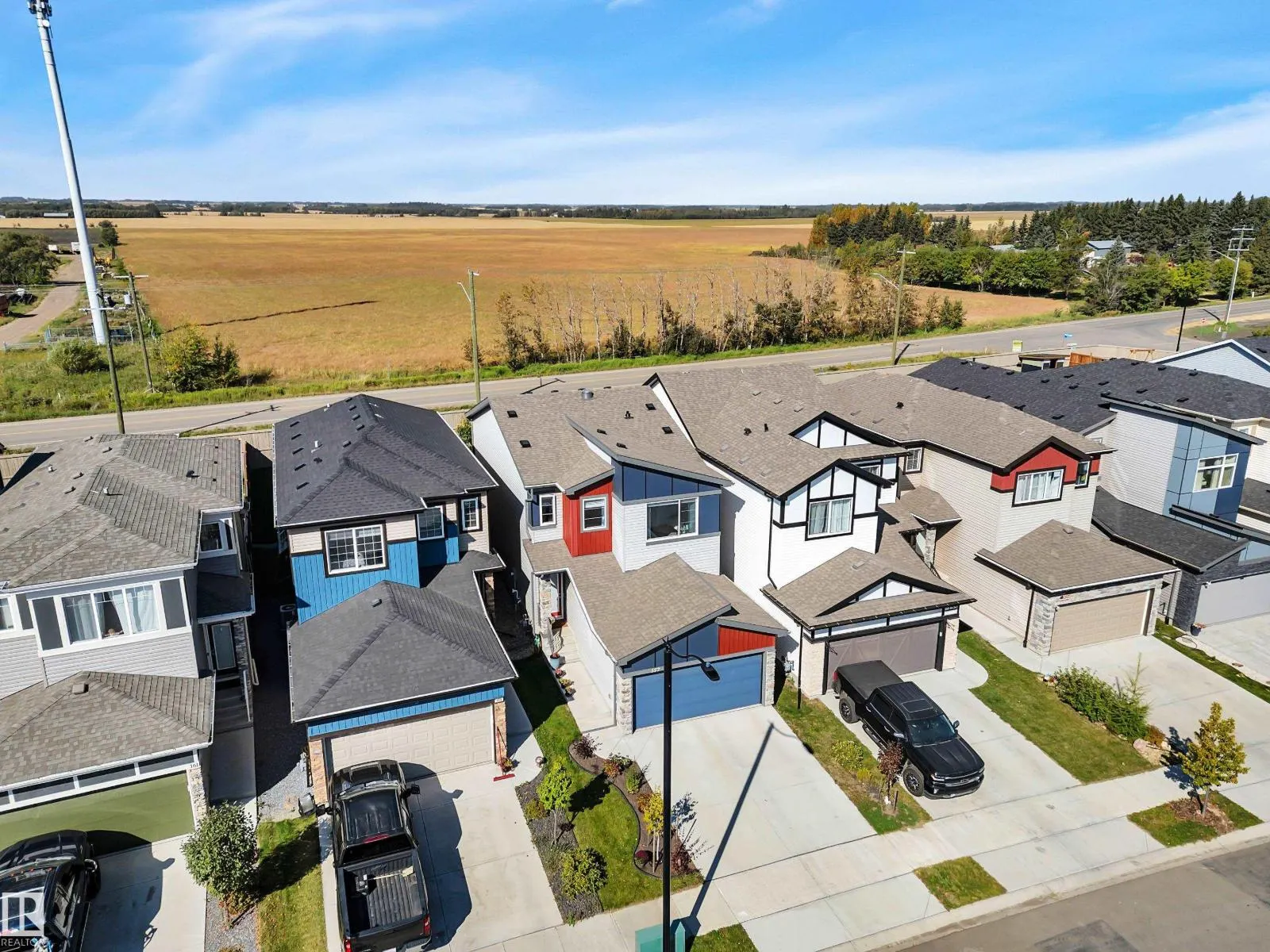 157 Larch CR