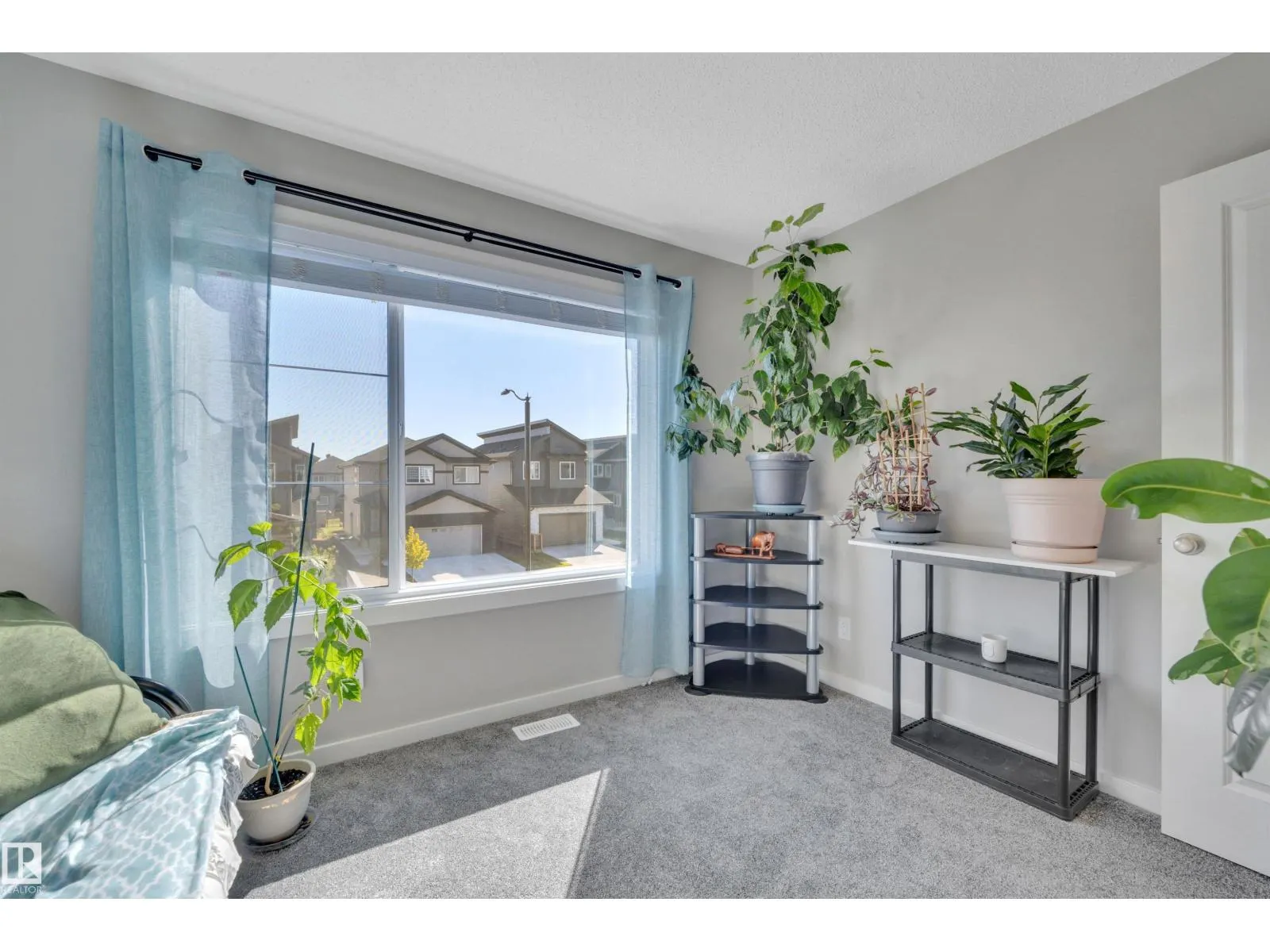 157 Larch CR