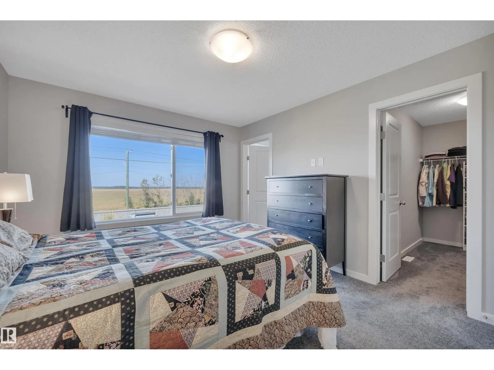 157 Larch CR