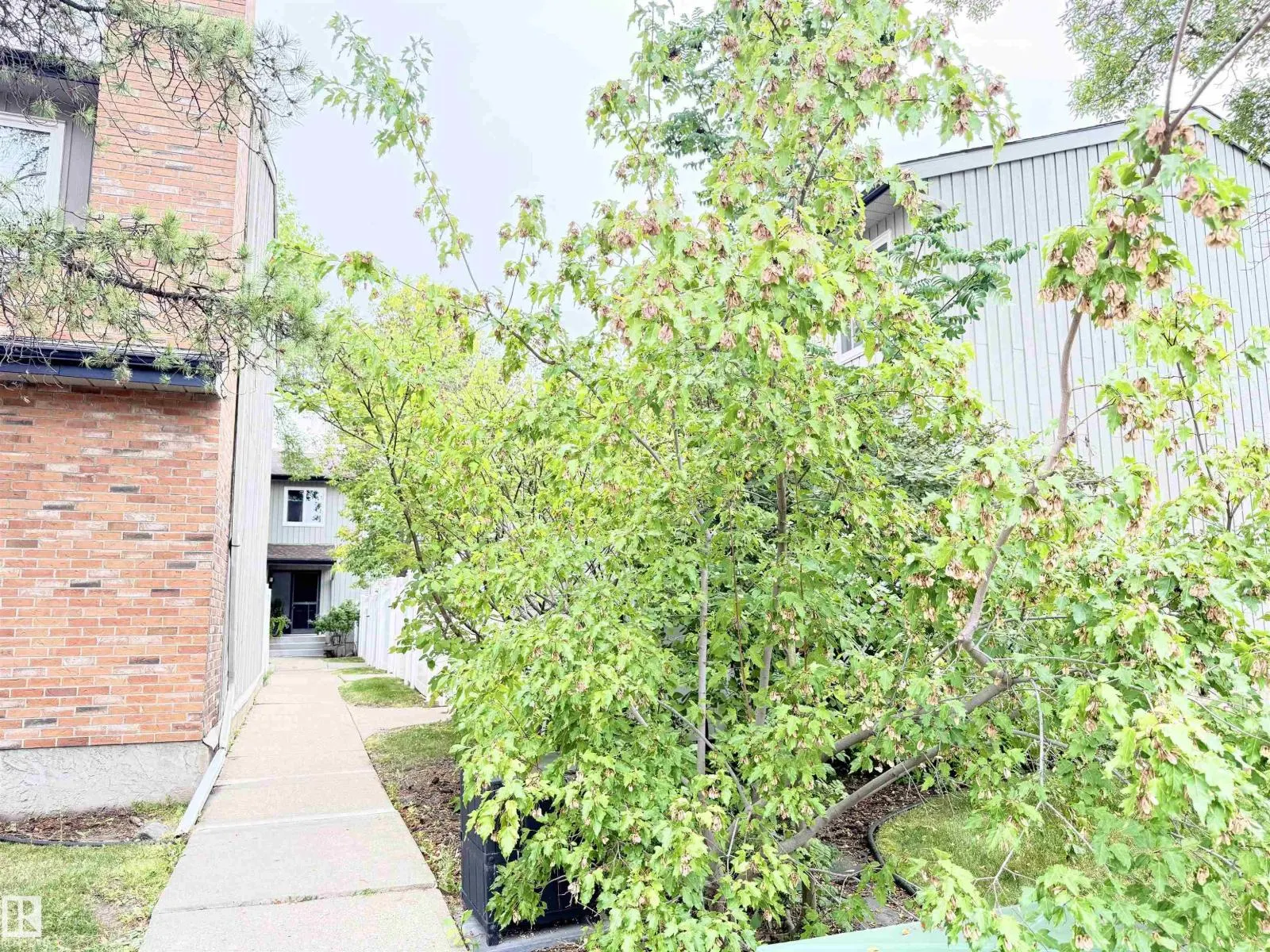 11805 32A AV NW