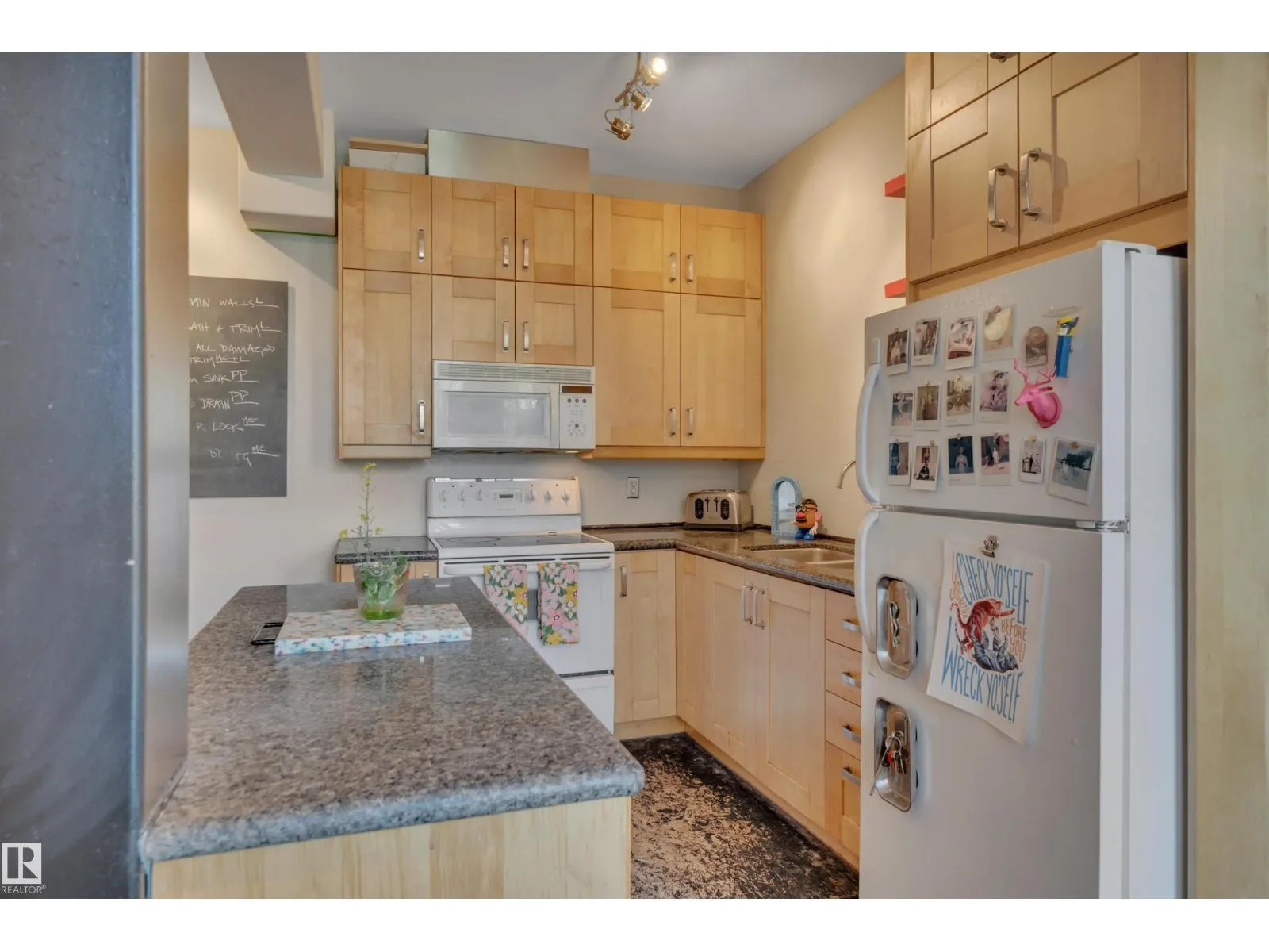 #205 10141 95 ST NW