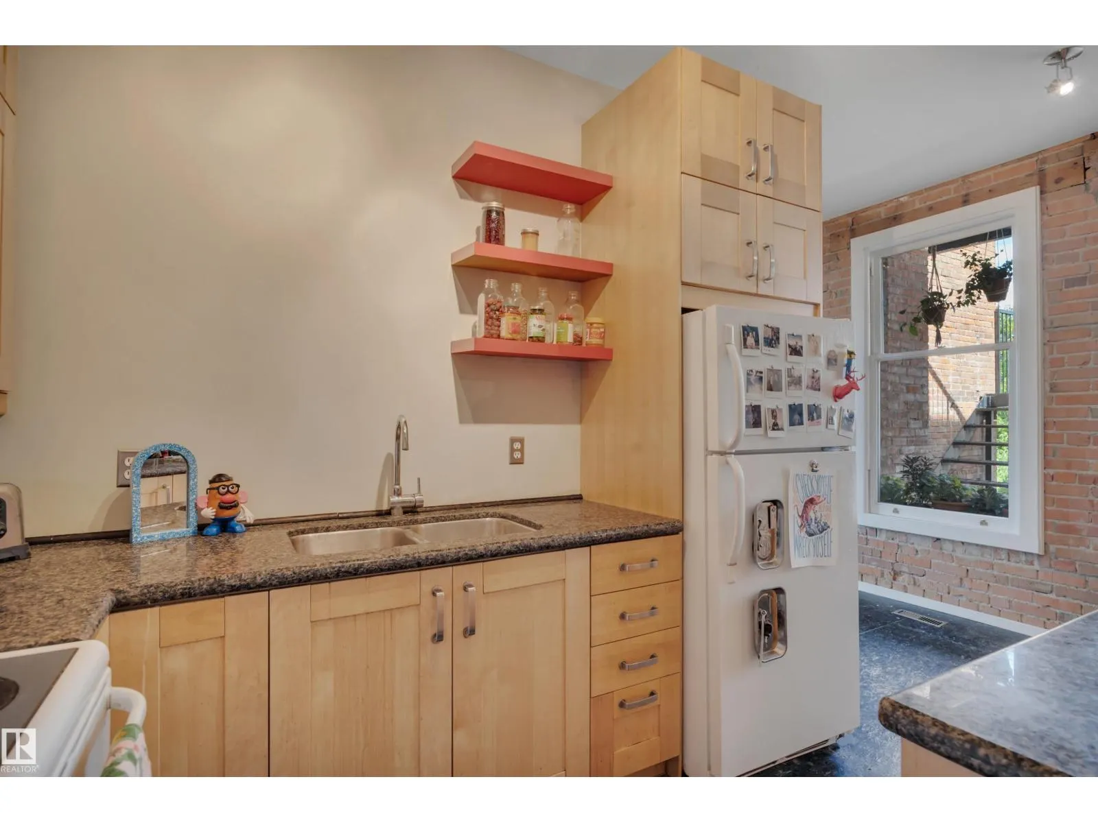 #205 10141 95 ST NW