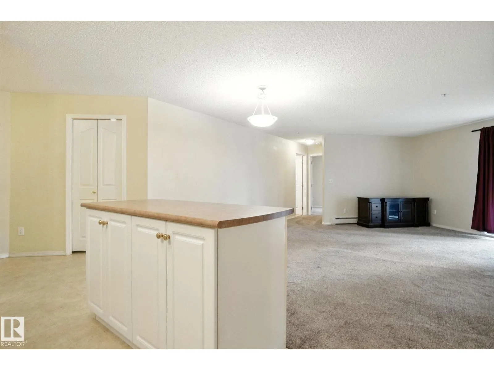 #2207 11214 80 ST NW
