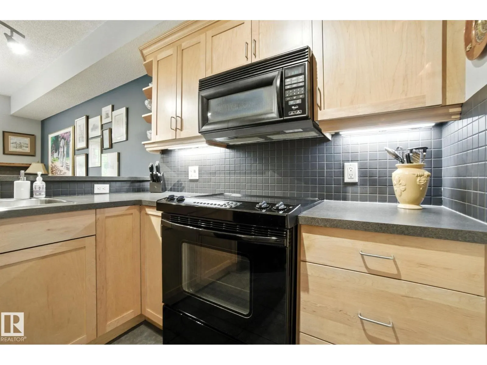 #305 9819 96A ST NW