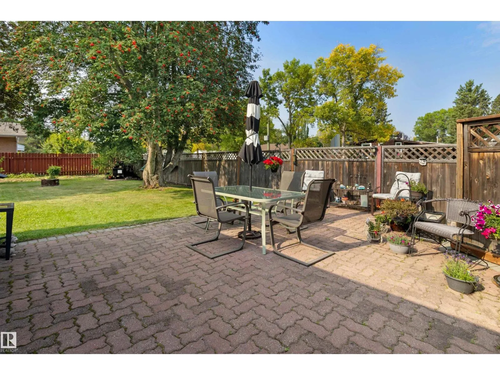61 SPRUCE AV