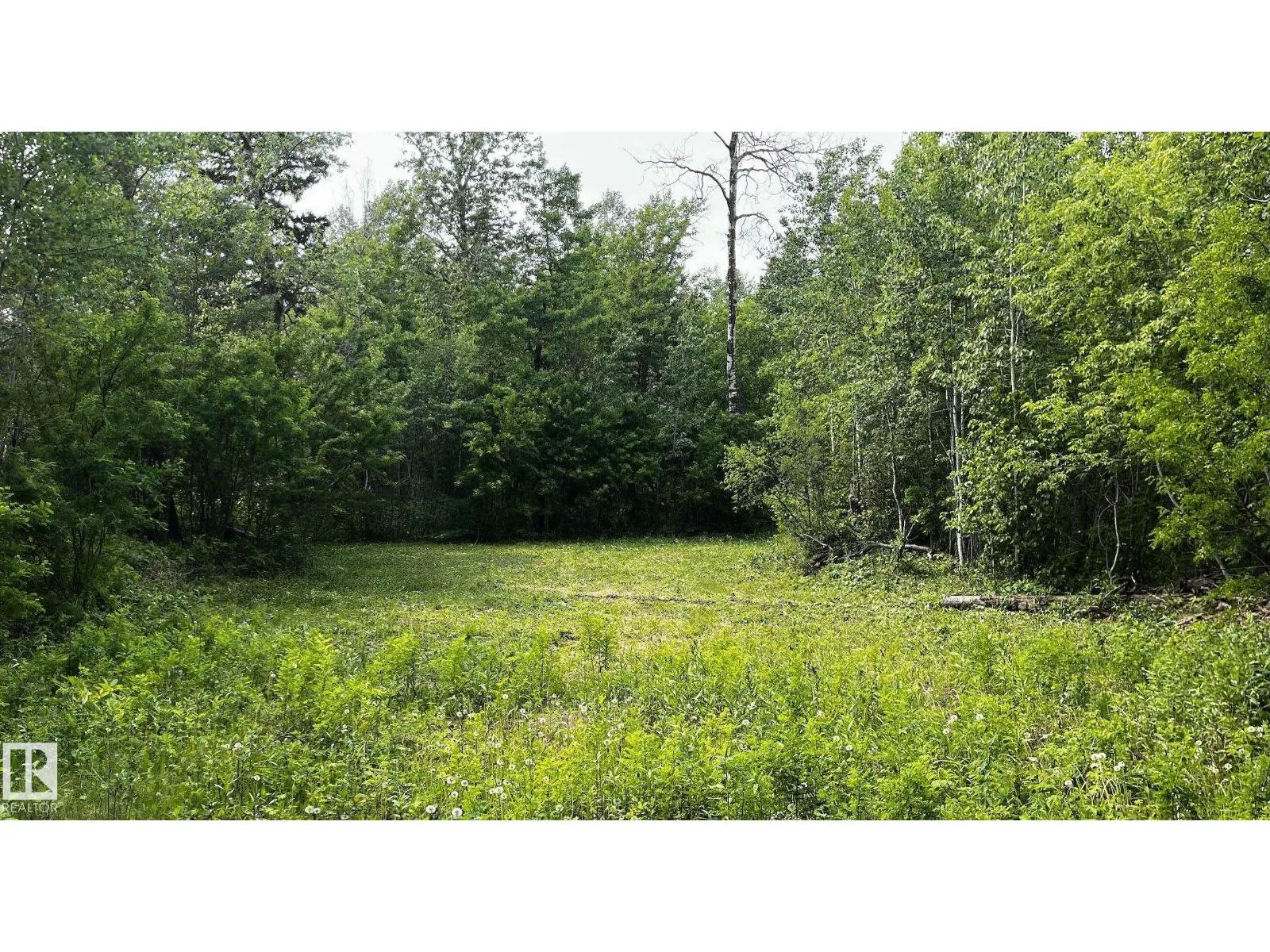 #83 21061 wye RD