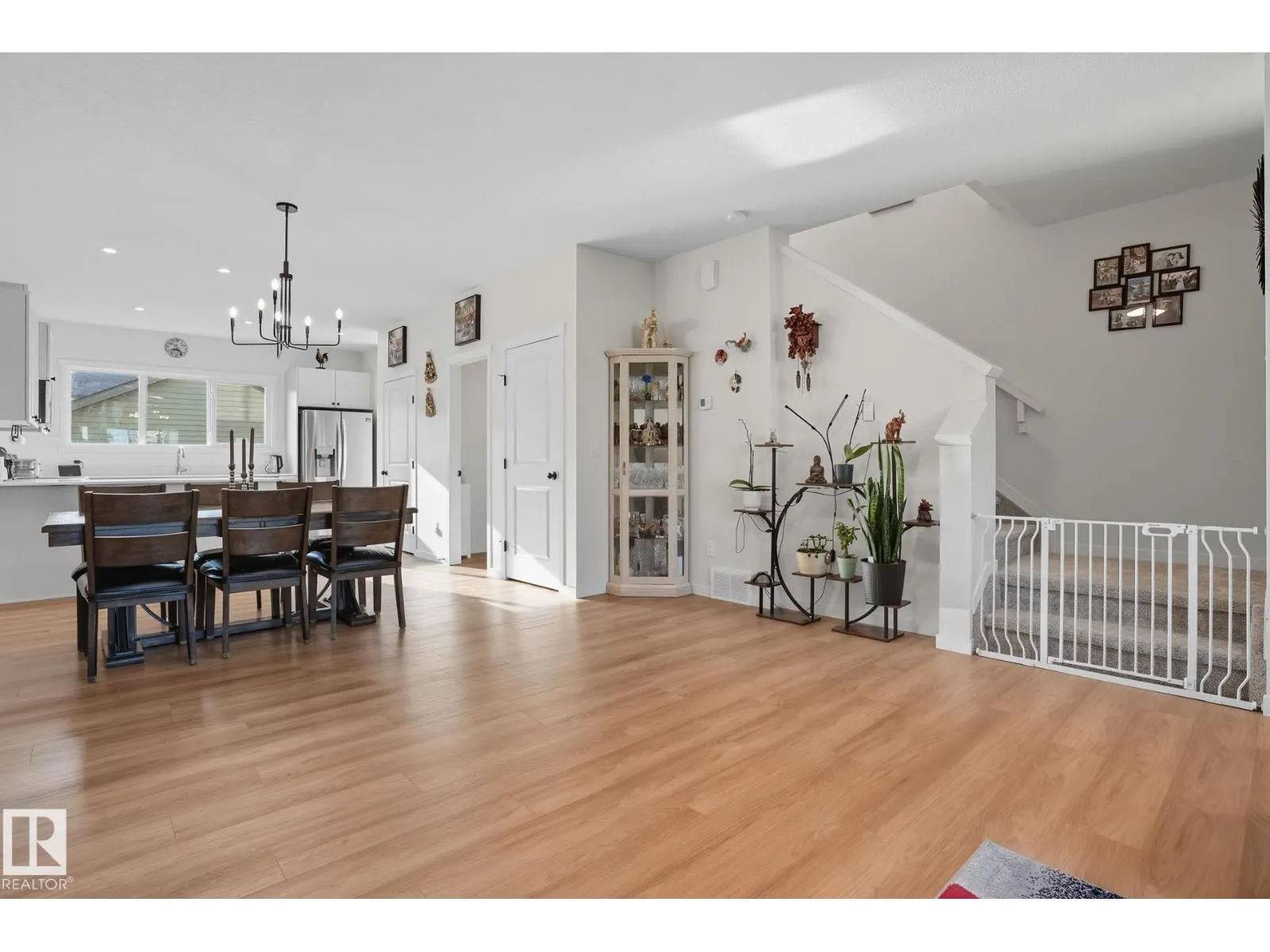 50 NETTLE CR