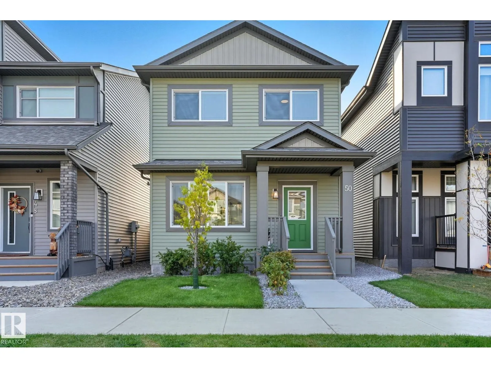 50 NETTLE CR