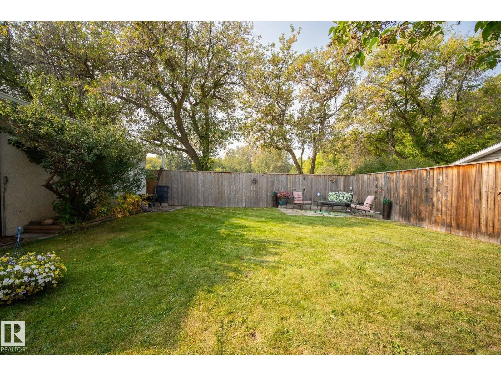 4 FINCH CR