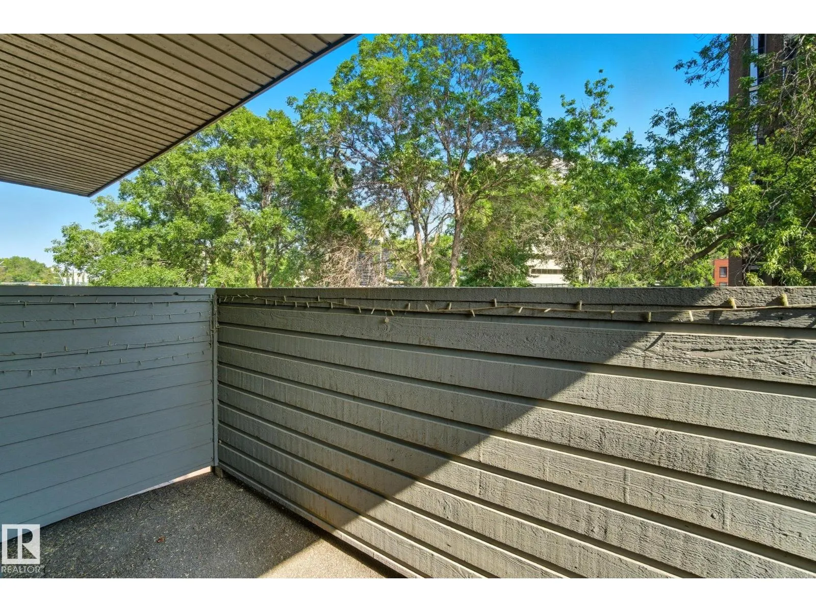 #3 10032 113 ST NW