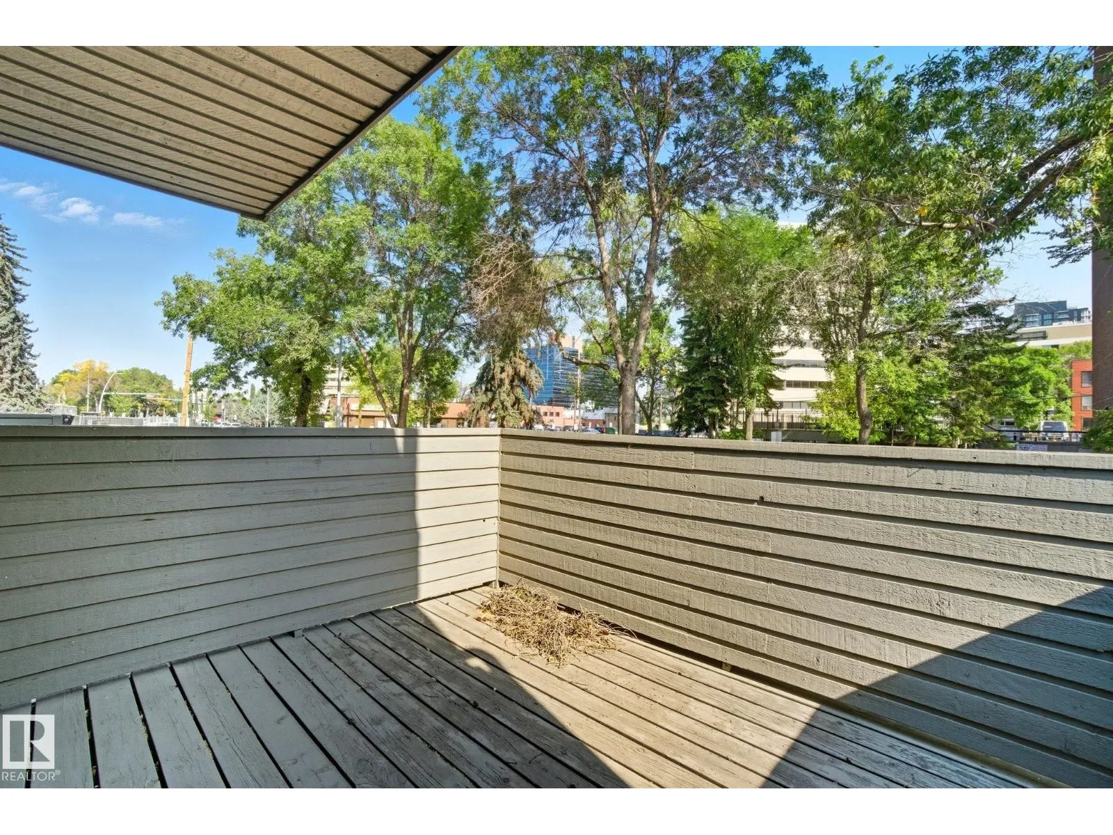 #3 10032 113 ST NW