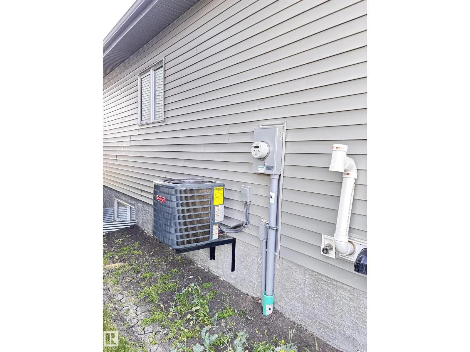 2005 FLYCATCHER PT NW