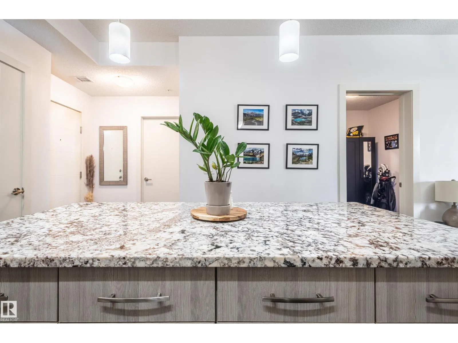 #305 10523 123 ST NW
