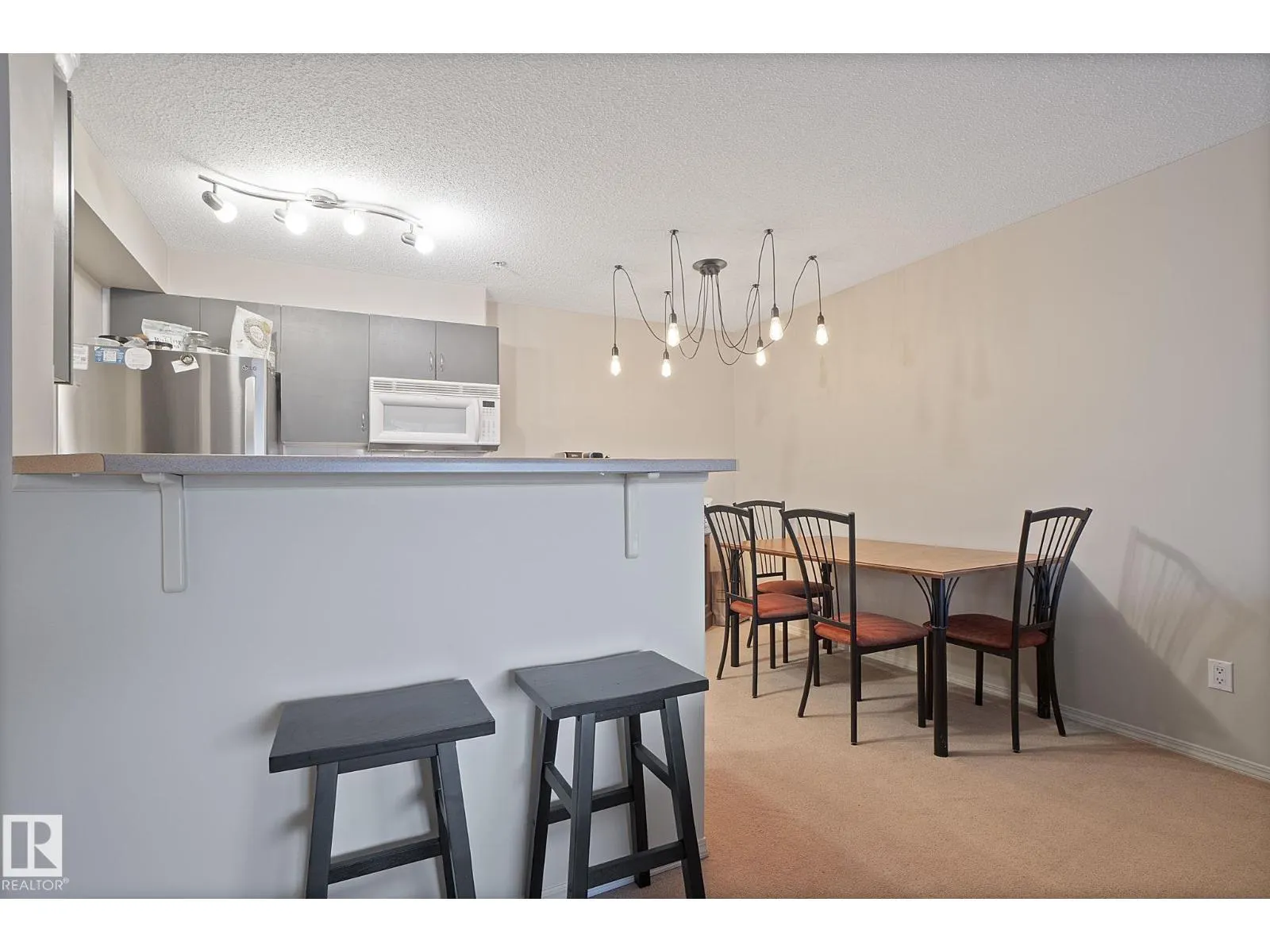 #312 17011 67 AV NW