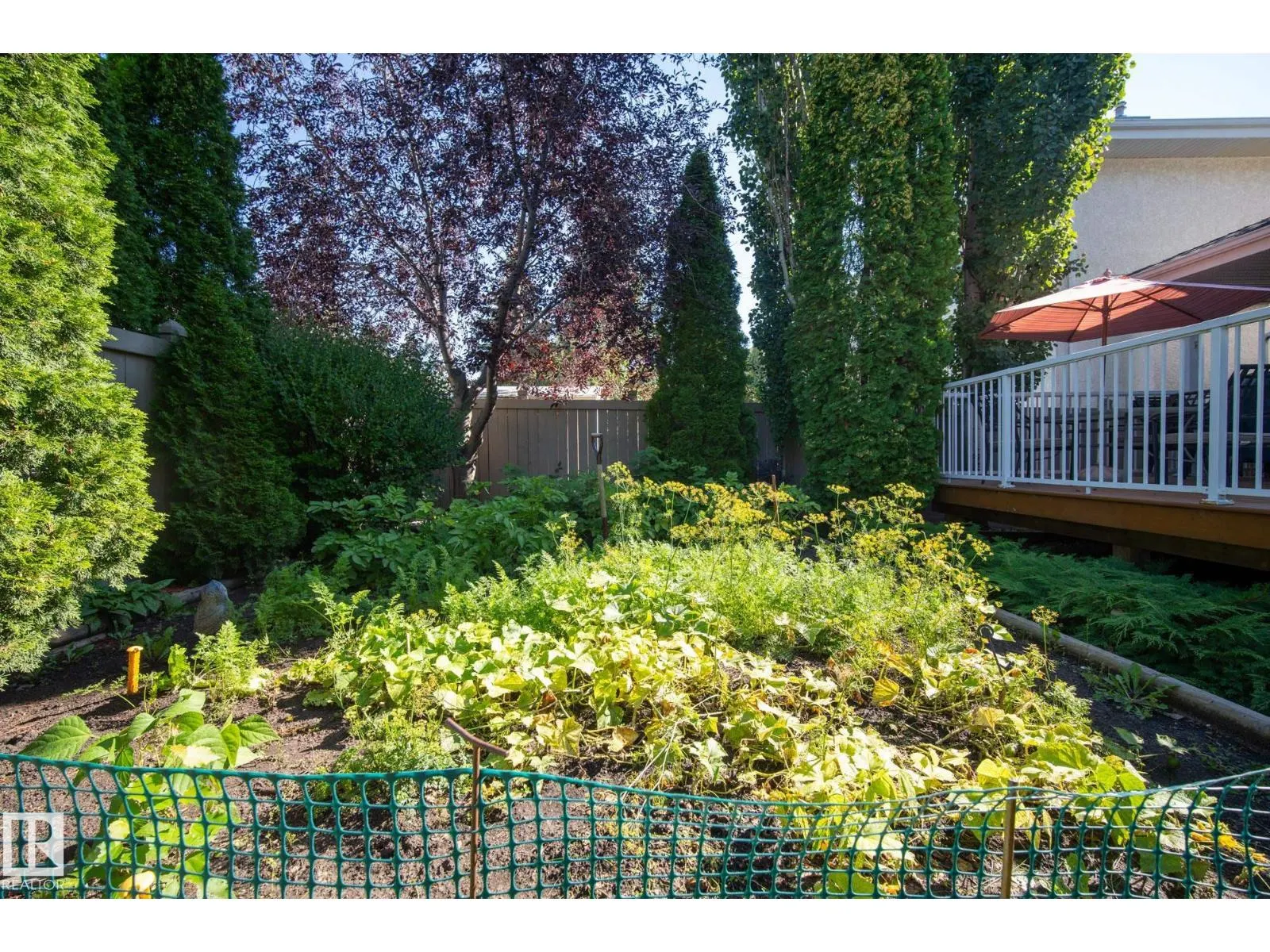 11570 13 AV NW