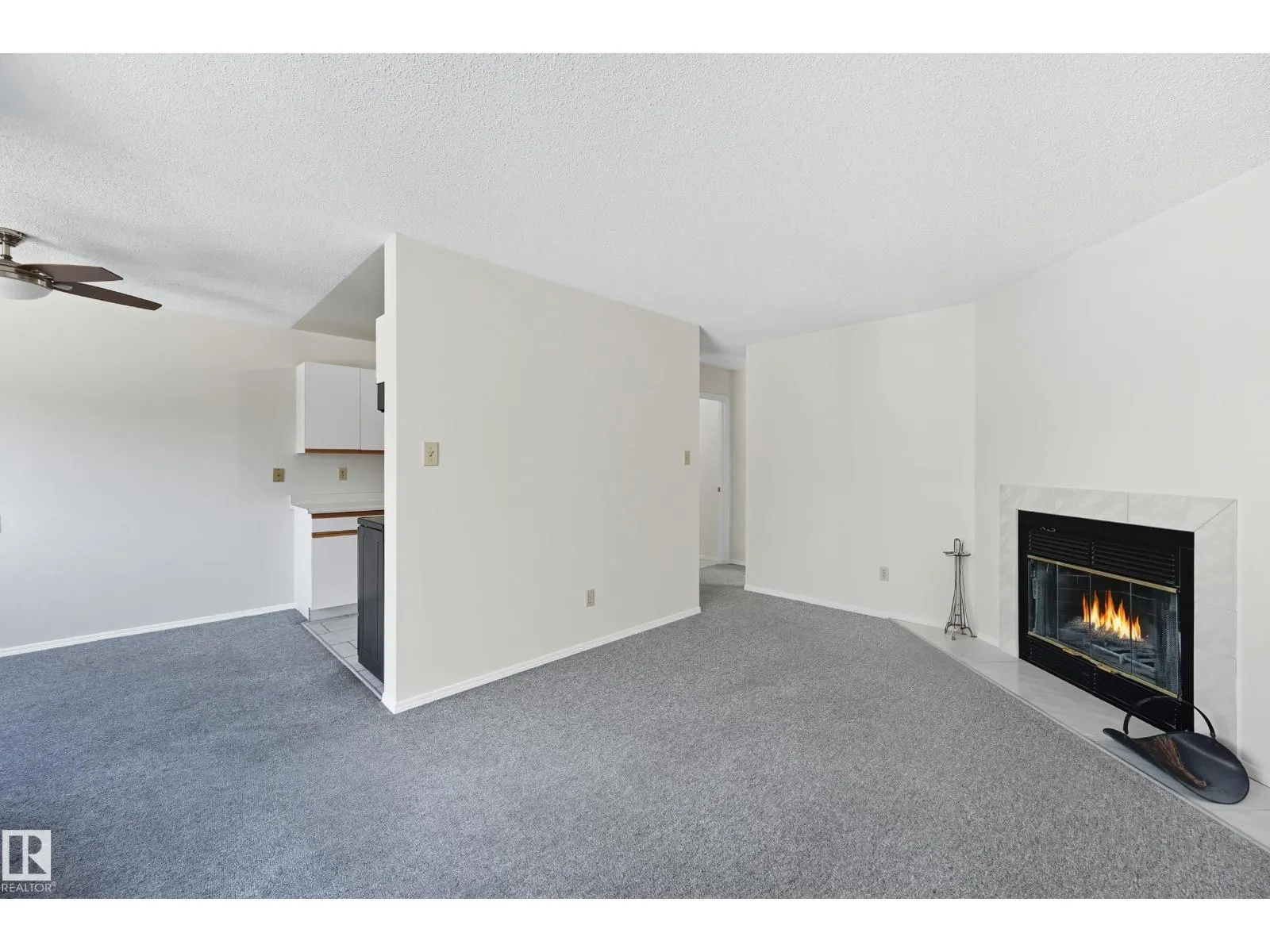 #306 10504 77 AV NW