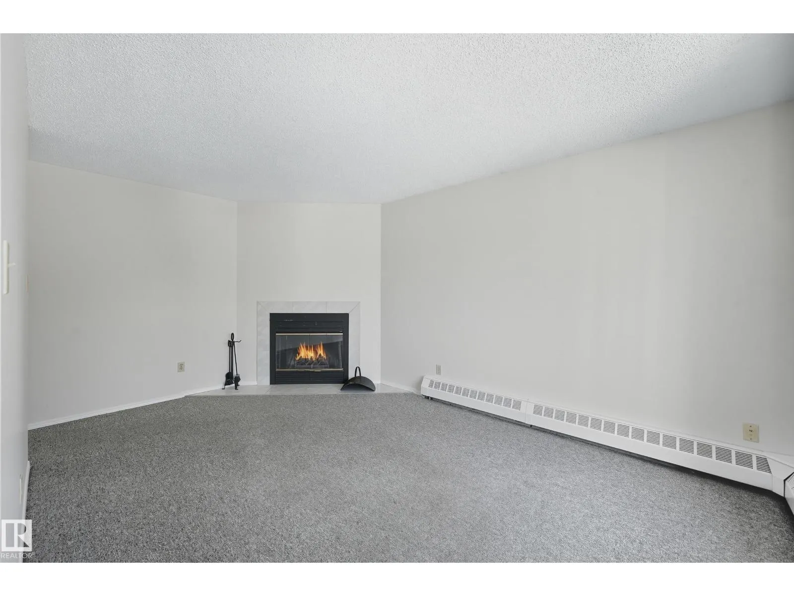 #306 10504 77 AV NW