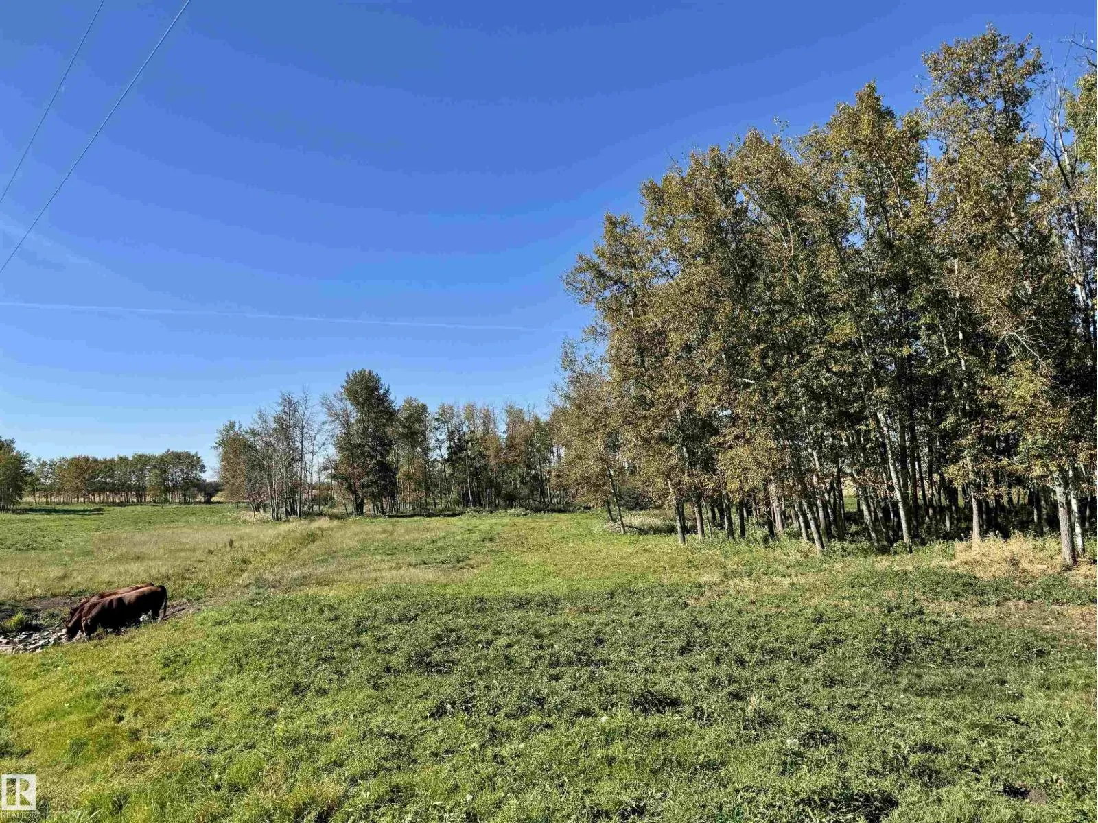 Range Road 231 Township Road 510
