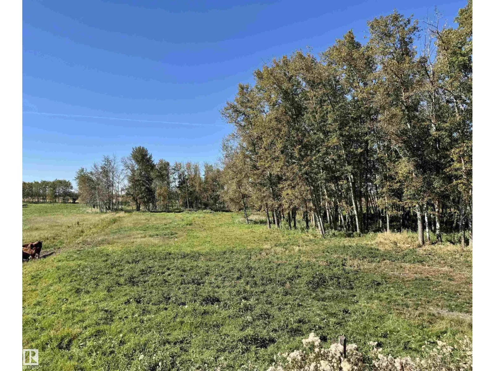 Range Road 231 Township Road 510