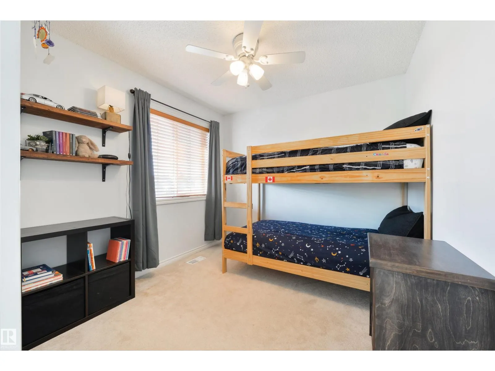 13 WILLIS CR