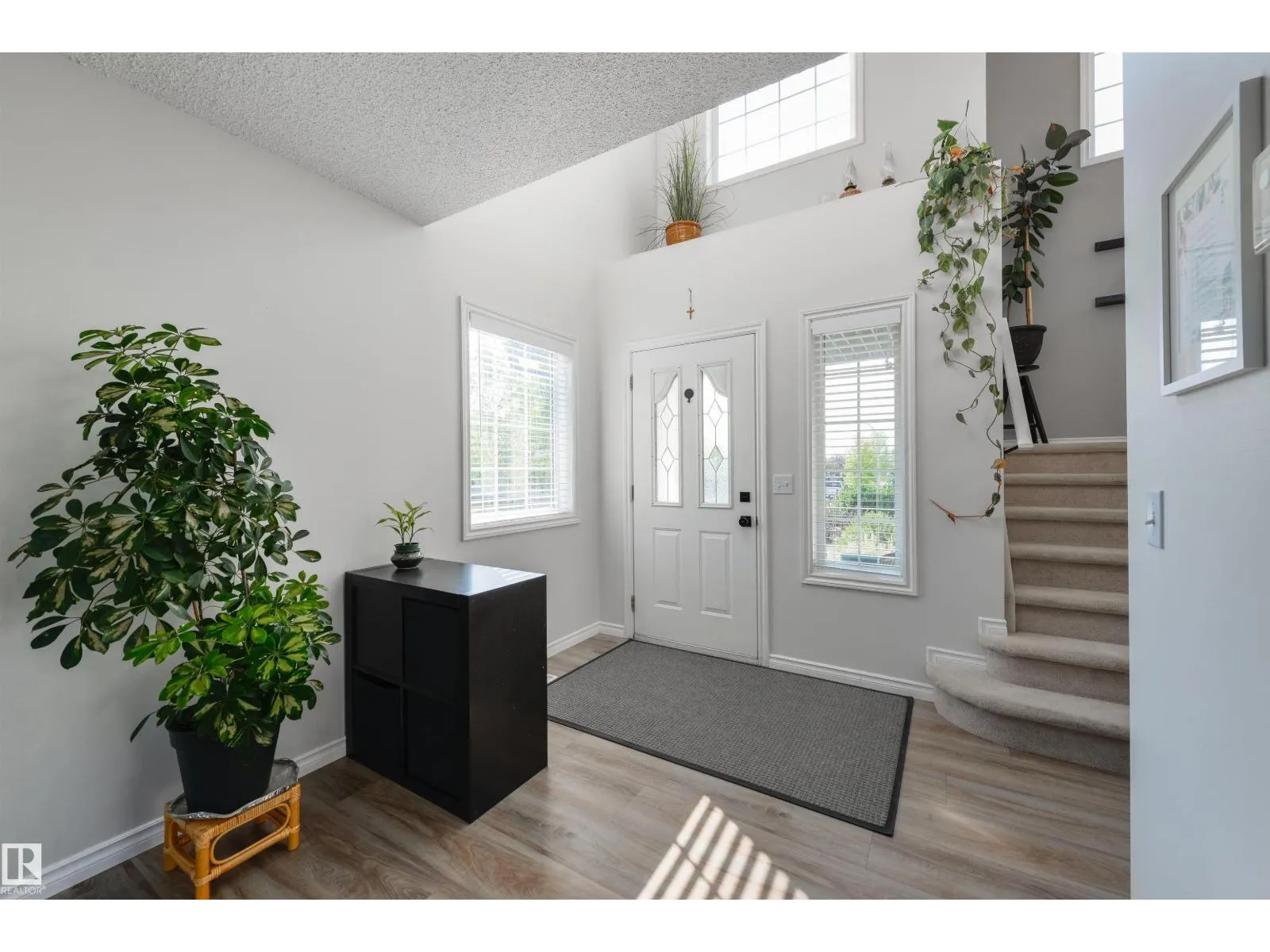 13 WILLIS CR