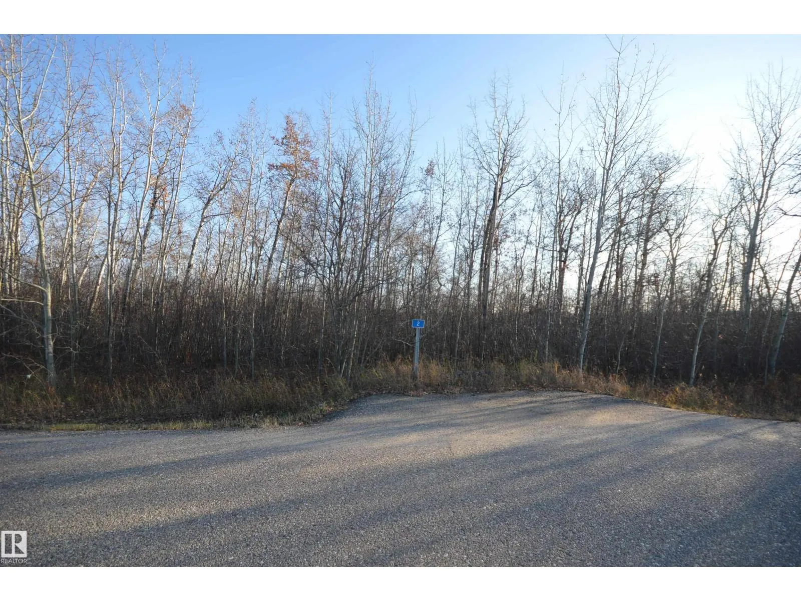 2 46321 TWP RD 611