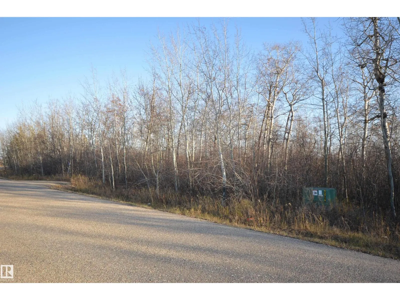 2 46321 TWP RD 611