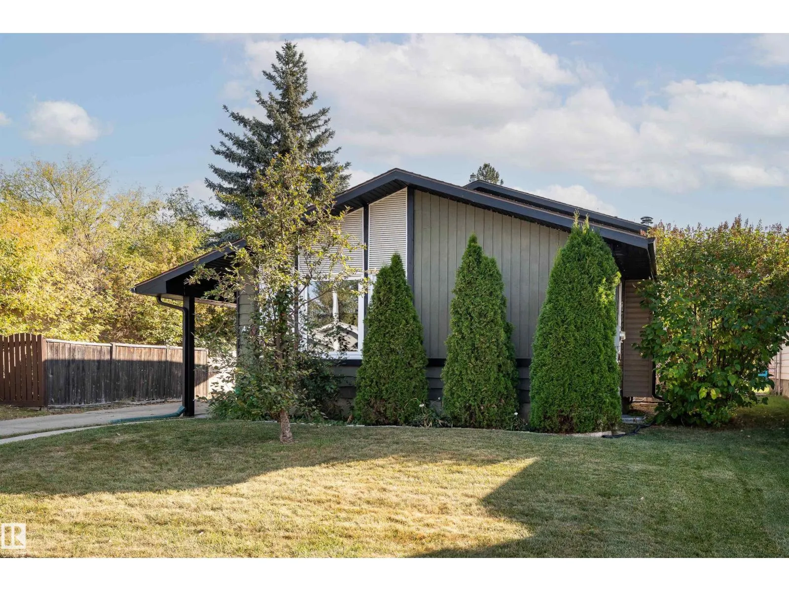 44 Mcnabb CR