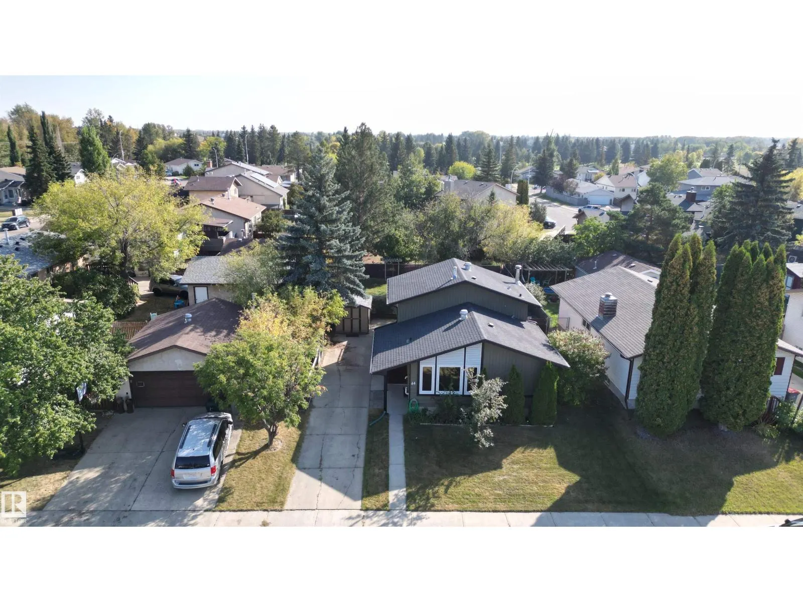 44 Mcnabb CR