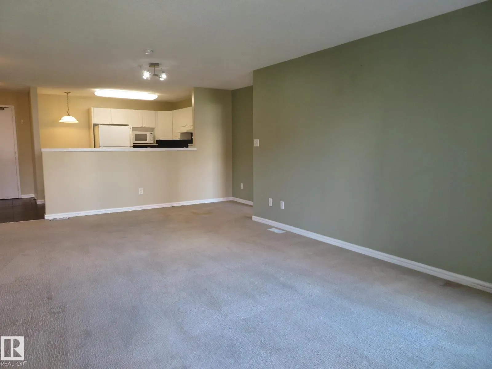 #405 10221 111 ST NW