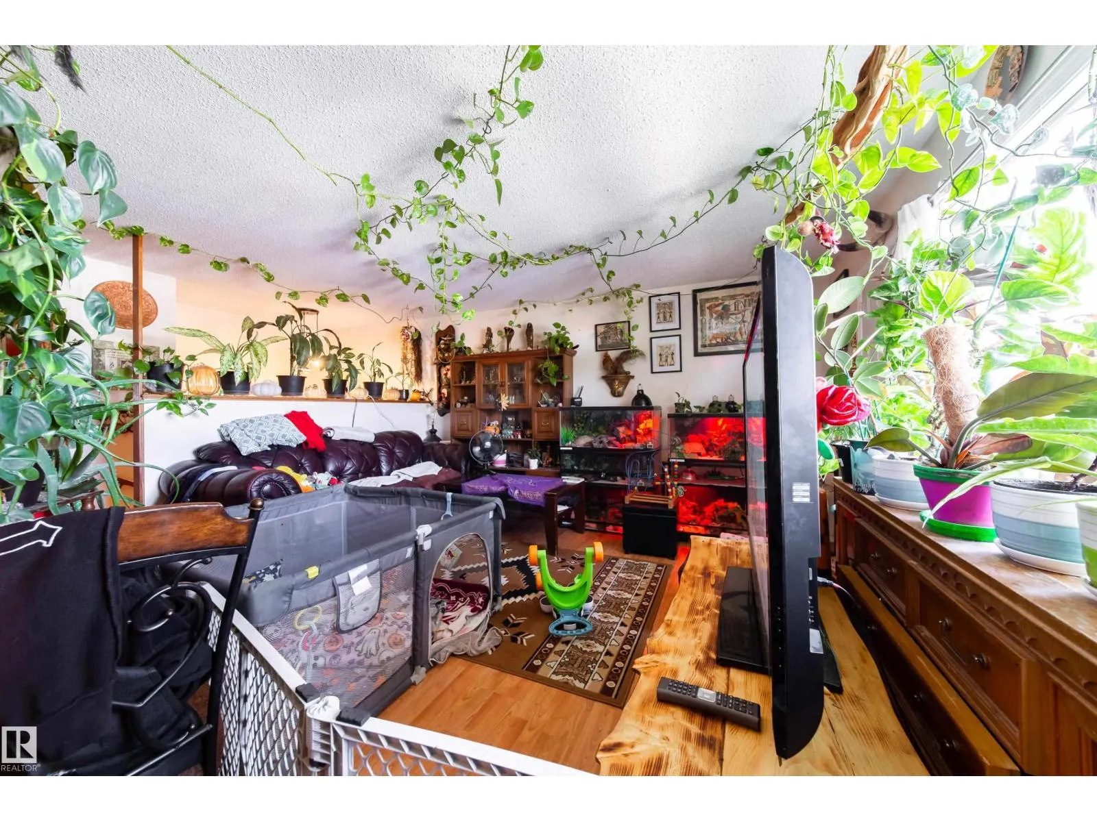 3119-3121 113 AV NW