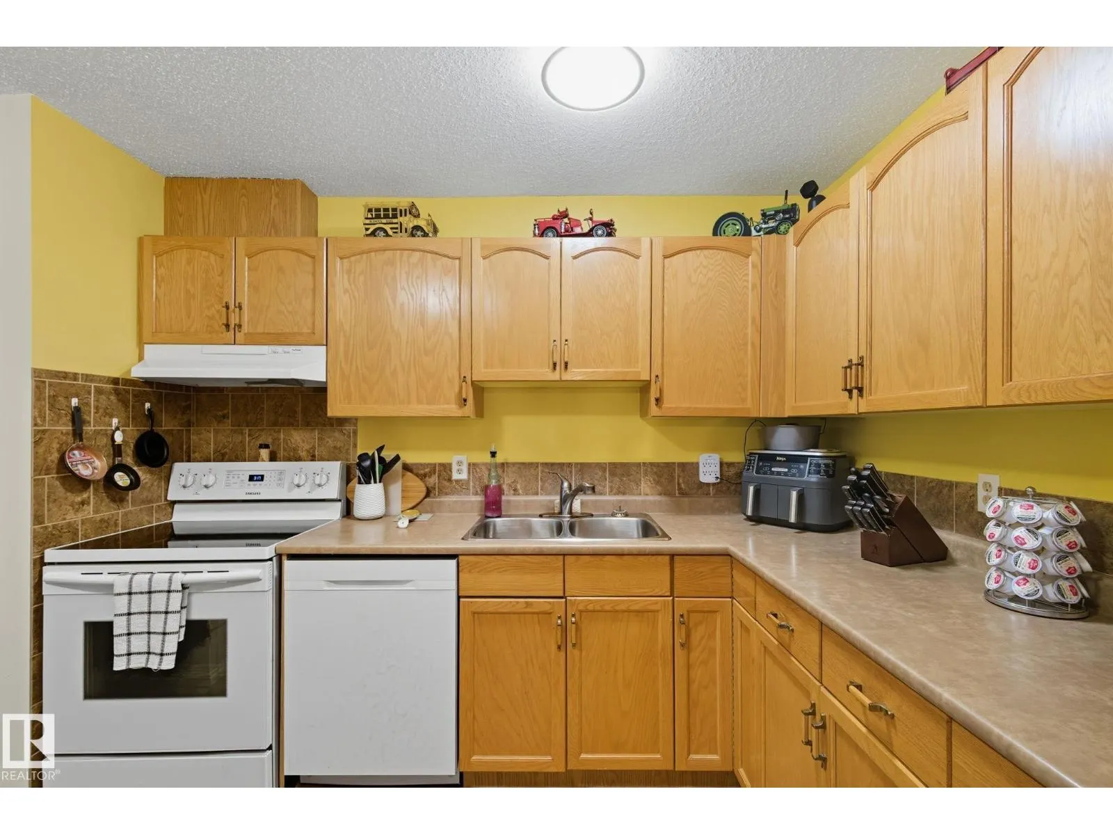 #411 18004 95 Ave NW