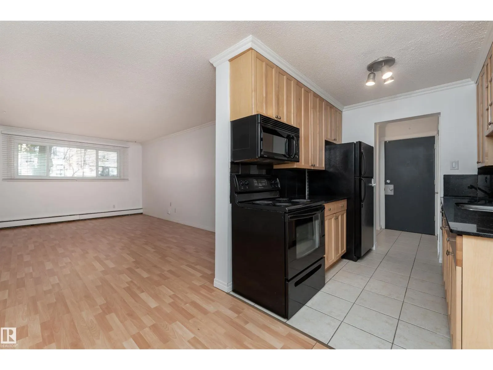 #101 9925 83 AV NW NW