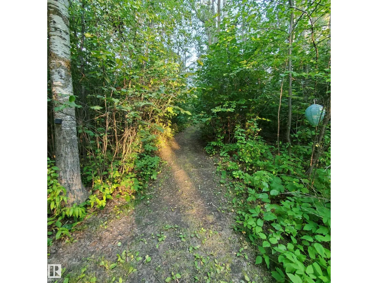 #112 53319 RGE ROAD 14