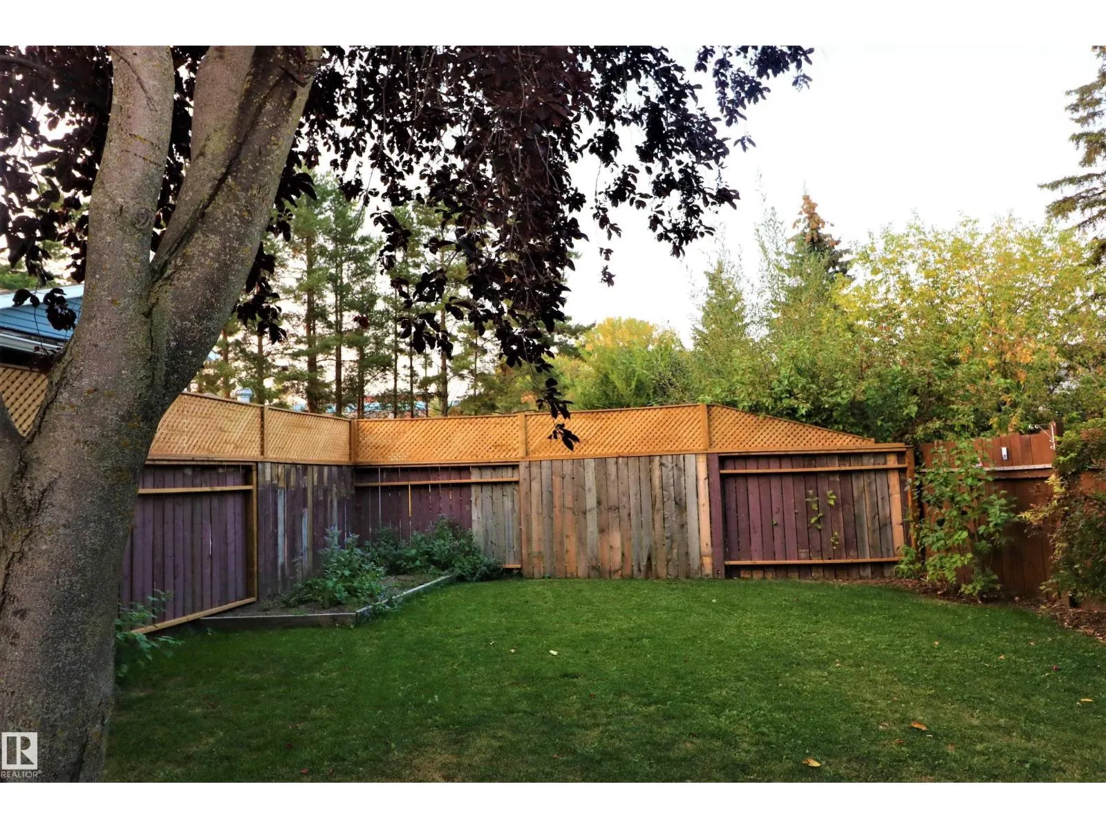 4317 54 ST