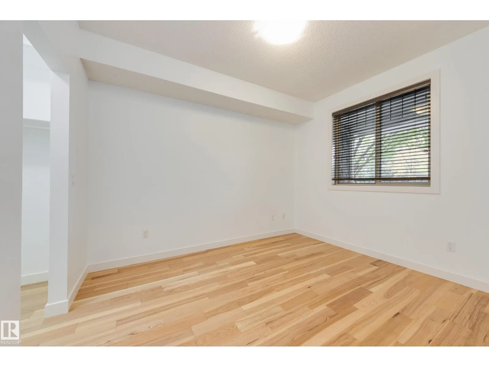 #103 8730 82 AV NW