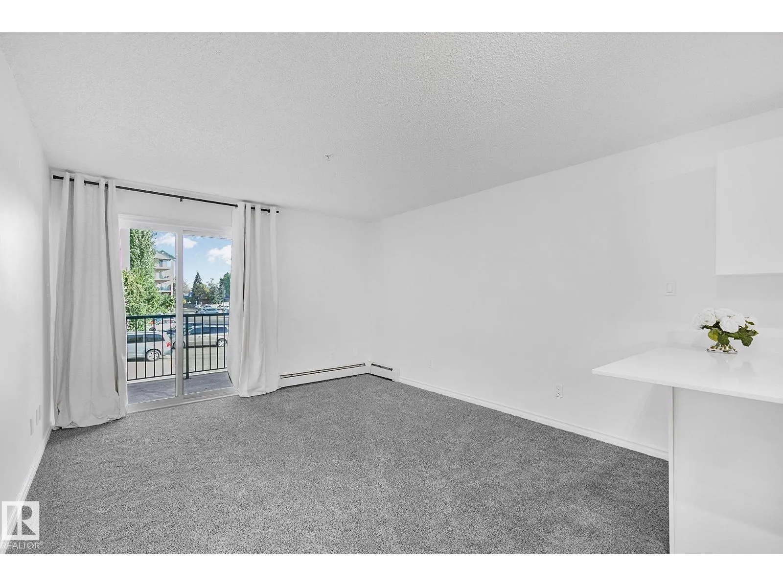 #207 11325 83 ST NW