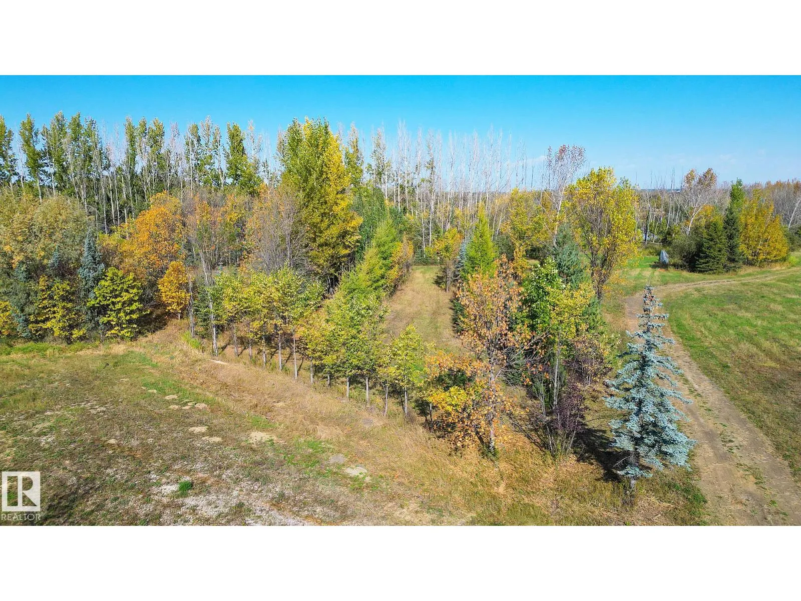 1020 HGHWAY 16