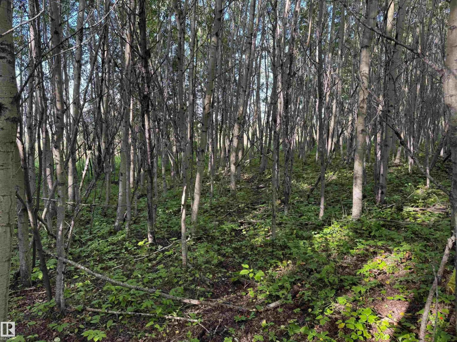 on Twp Rd 505