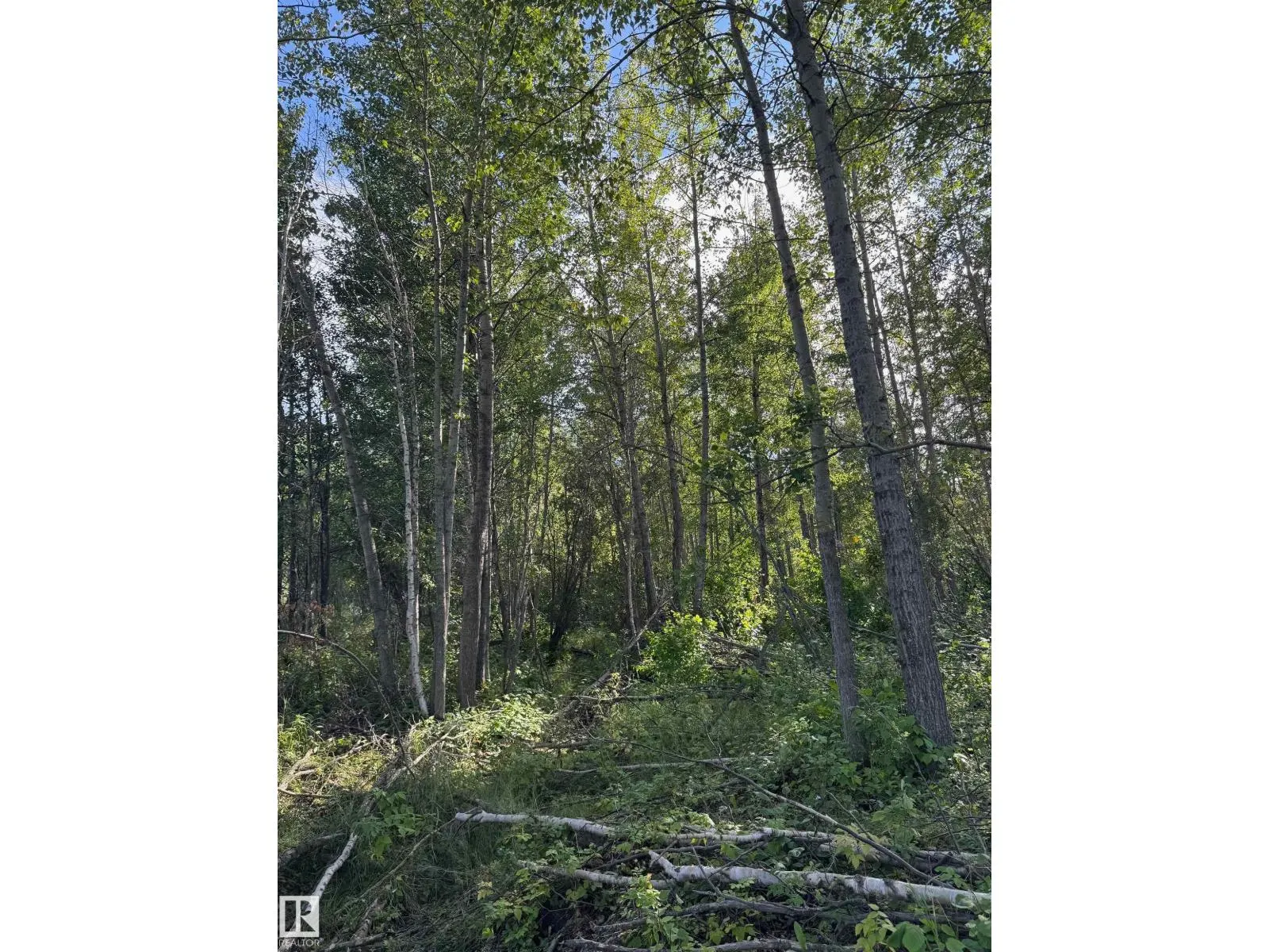 on Twp Rd 505