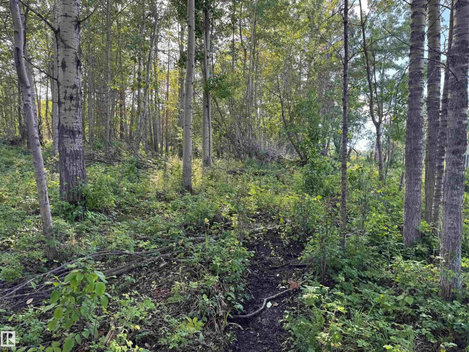 on Twp Rd 505