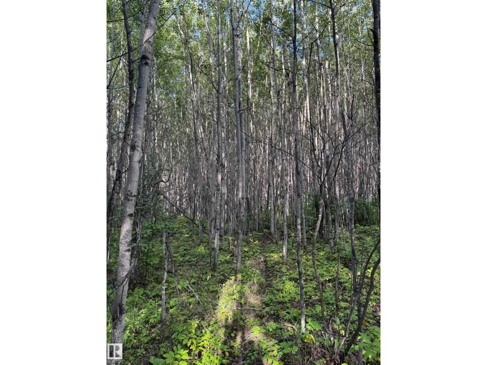on Twp Rd 505