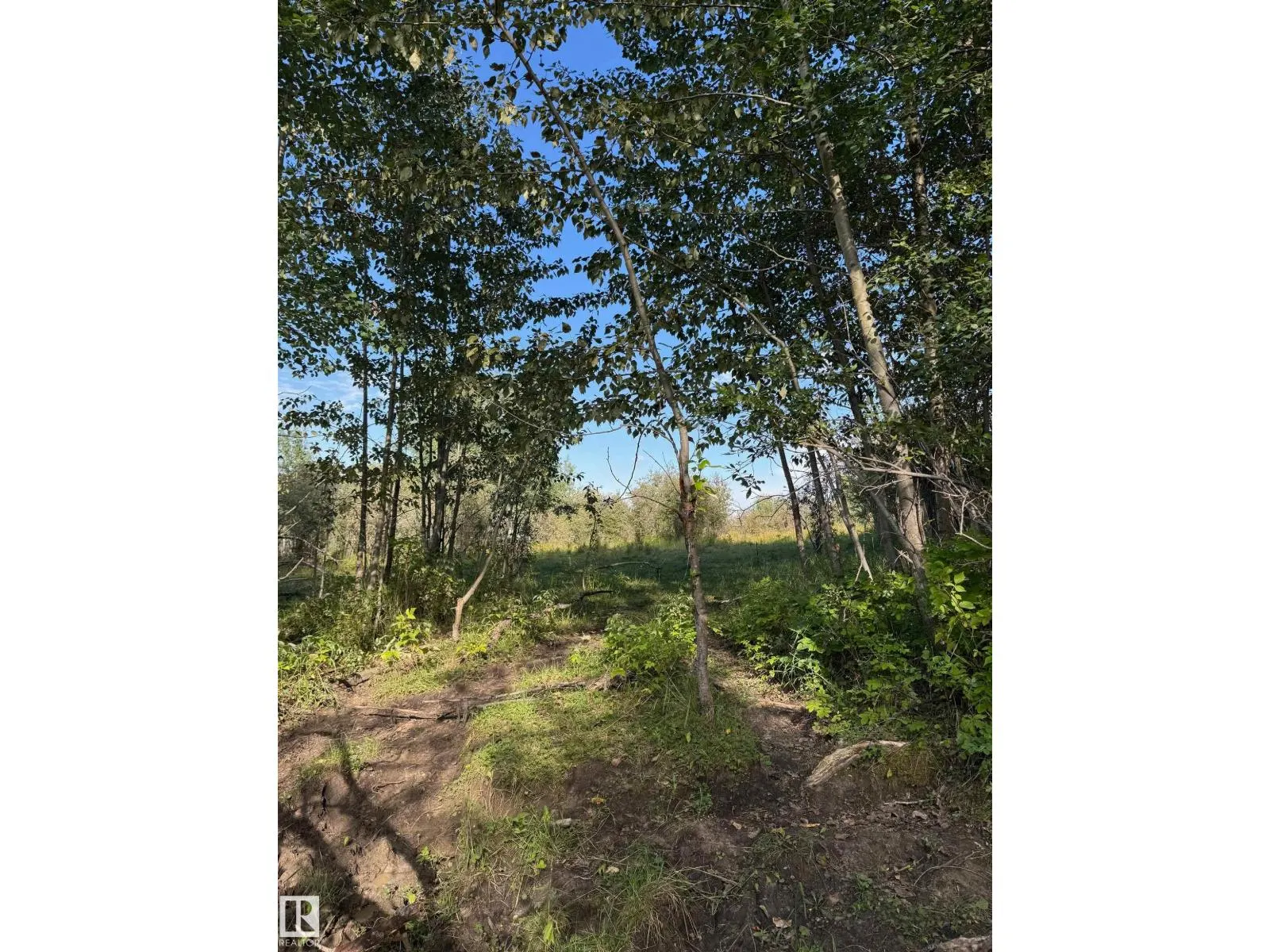 on Twp Rd 505