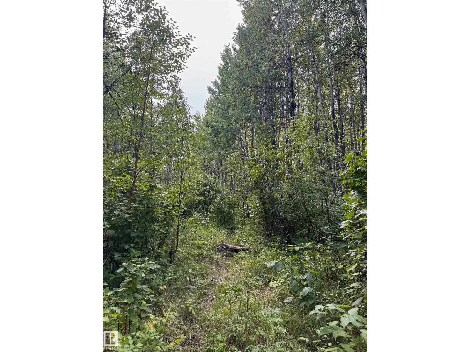 on Twp Rd 505