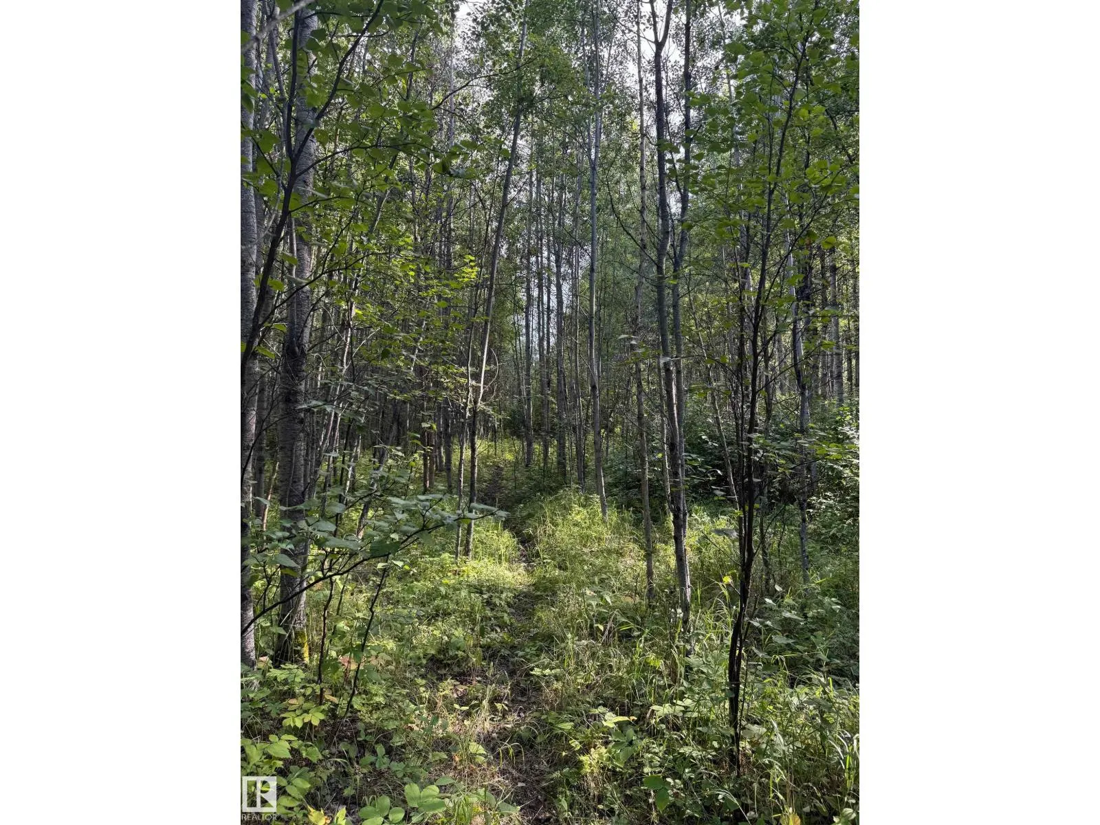 on Twp Rd 505