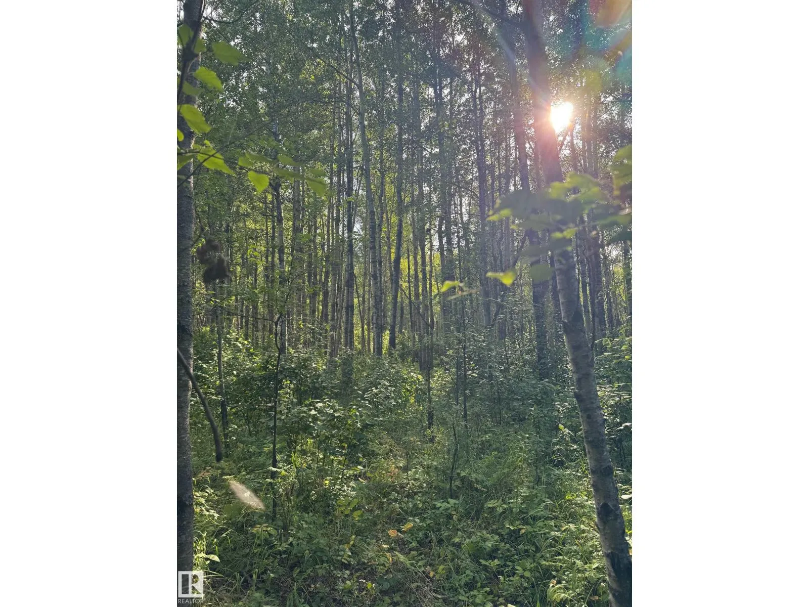 on Twp Rd 505