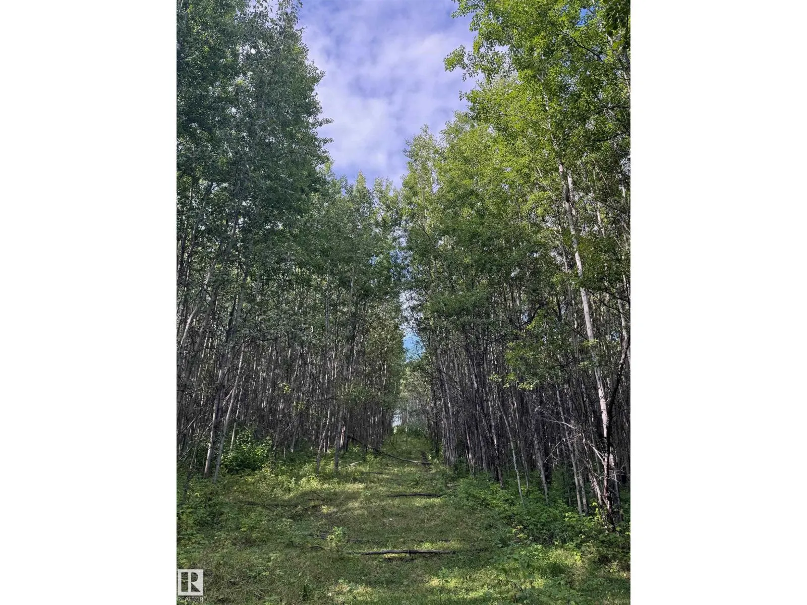on Twp Rd 505