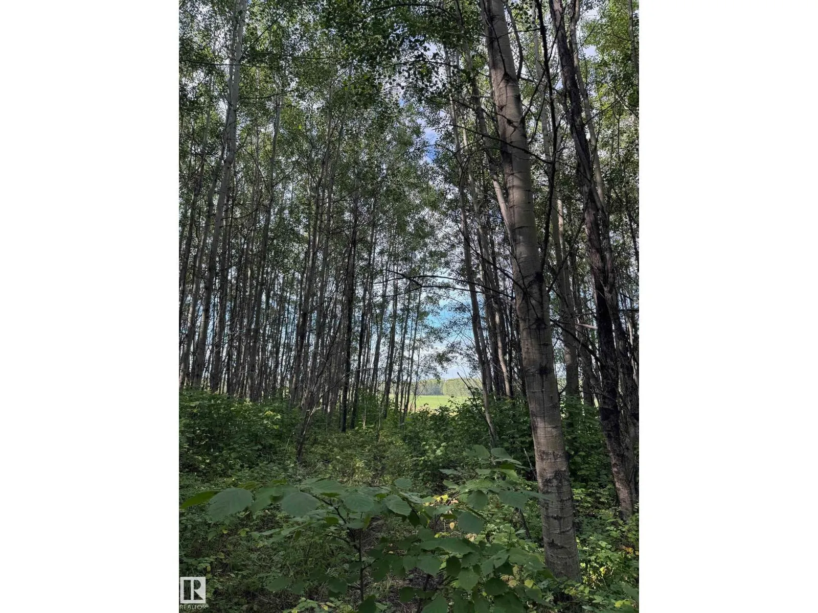 on Twp Rd 505