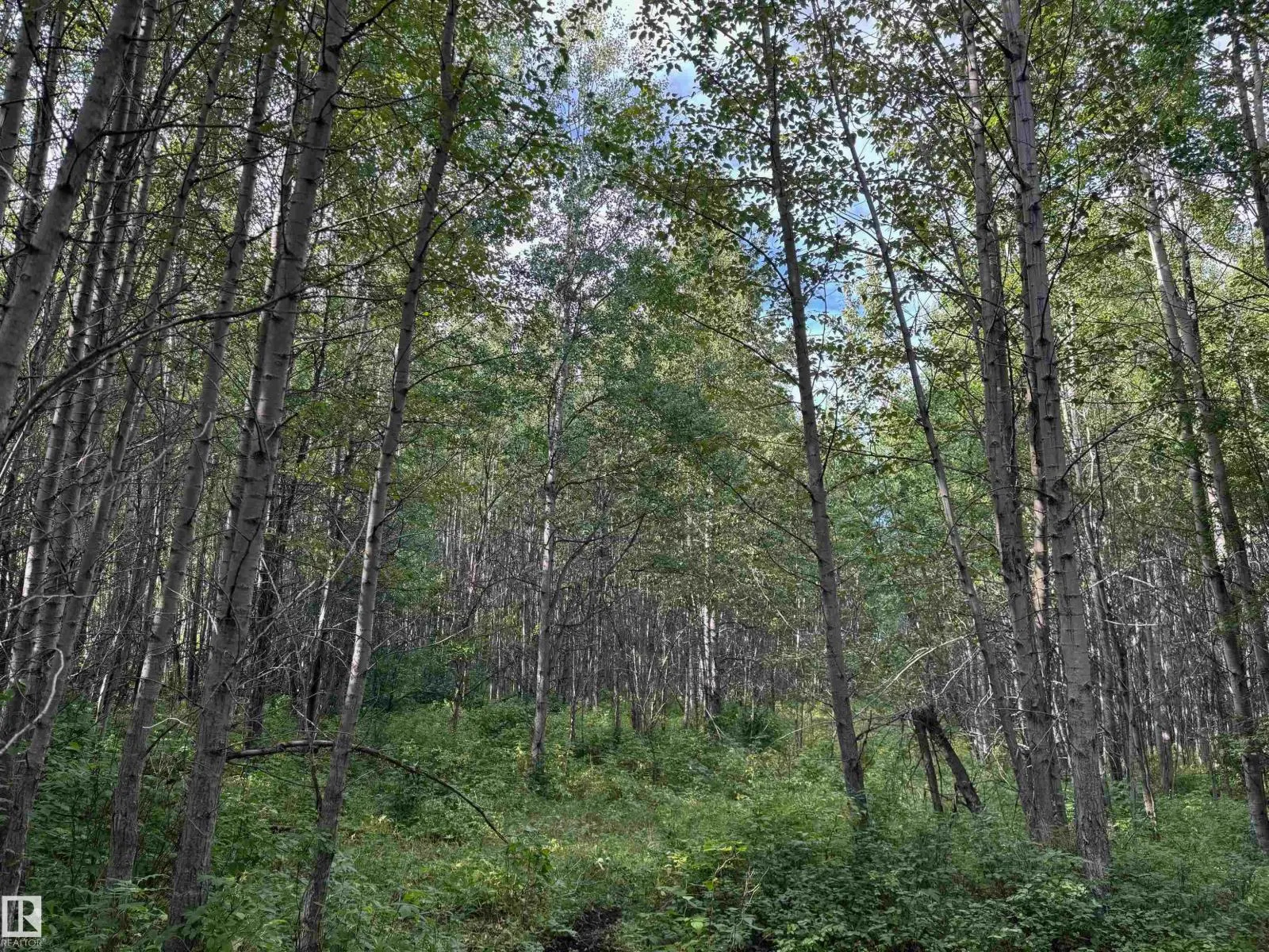 on Twp Rd 505