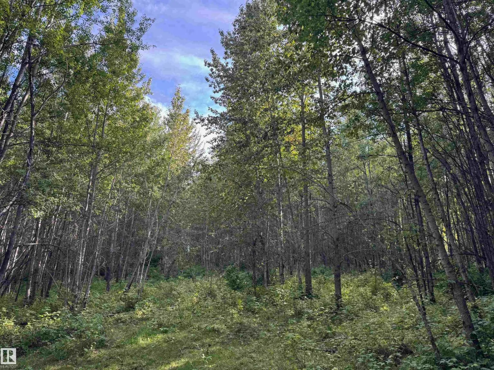 on Twp Rd 505